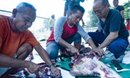 Idul Adha, Persebaya Potong Dua Sapi di Tempat Bersejarah